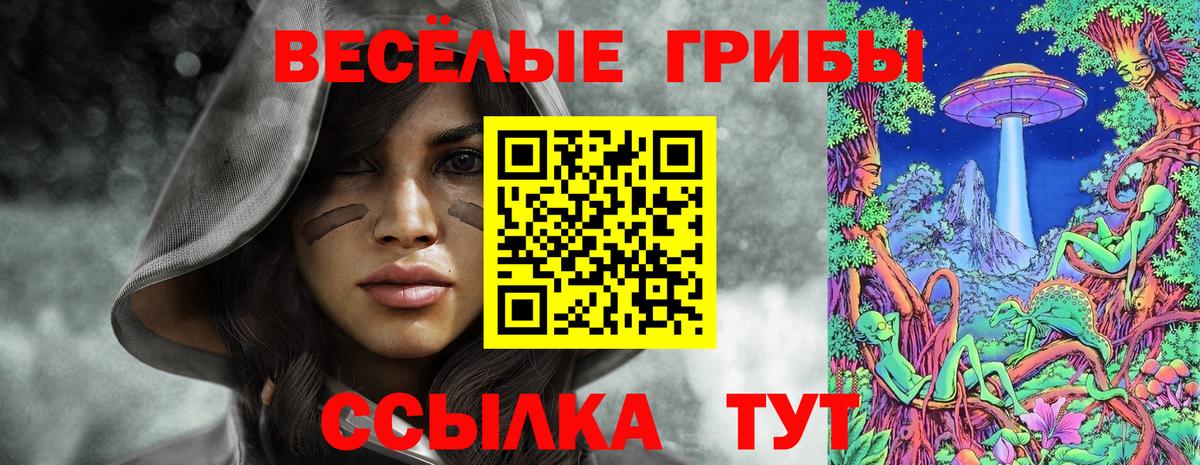 Тверь  цены   Вход с VPN  Галлюциногенные грибы Cubensis  Псилоцибиновые грибы прущие грибы 